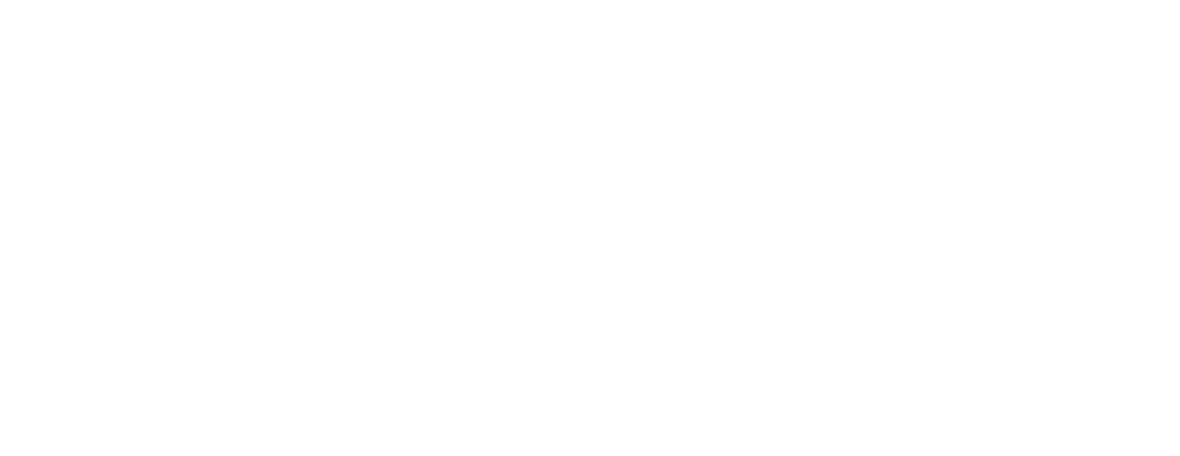 salonnayagara.com